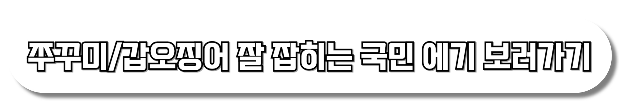 쭈꾸미-및-갑오징어-잘-잡히는-국민-에기-보러가기