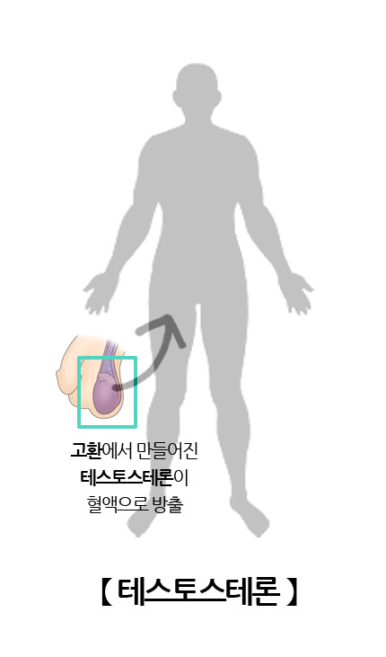 남성 갱년기 검사&amp;#44; 테스토스테론으로 확인하는 내 몸의 신호
