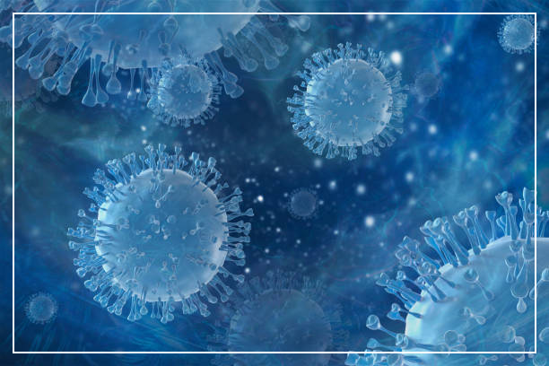 독감(인플루엔자) 예방접종