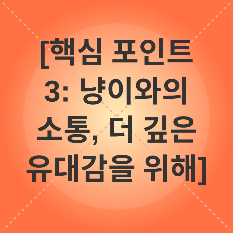 고양이 의사소통_3