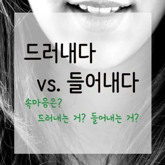 드러내다 들어내다 맞춤법 표현 예문_31