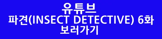 파견 6화 유튜브 바로가기 버튼