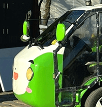 경주 비단벌레차 예약, 운행코스