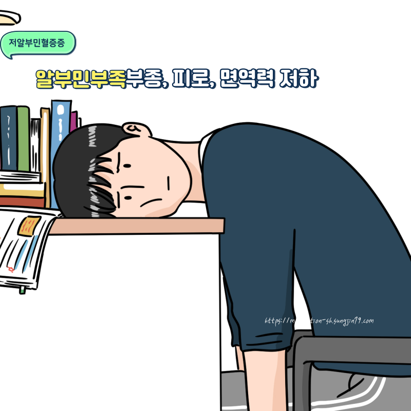 저알부민혈증 원인과 치료법|부종, 피로, 면역저하의 숨겨진 원인