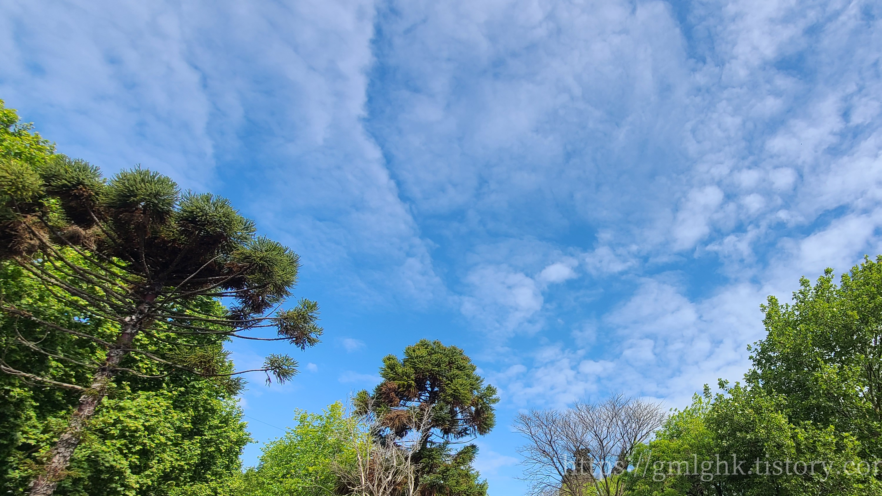 부에노스아이레스 날씨 10월 봄