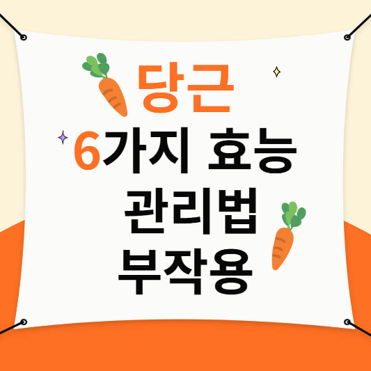 당근 효능 관리법 부작용