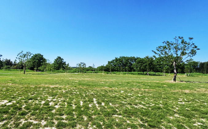 친수생태공원 와룡지구파크골프장