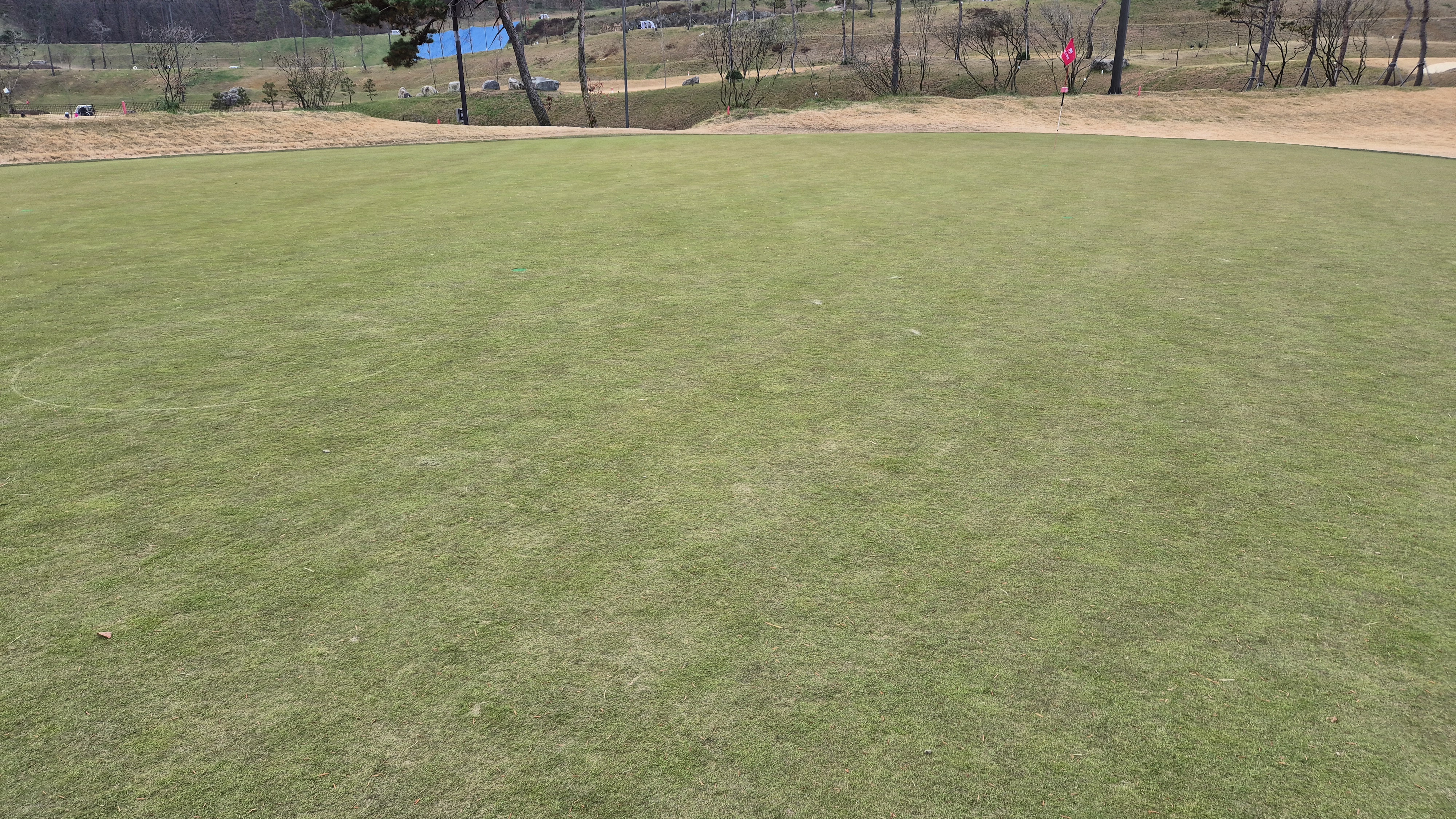 힐데스하임 레이크-힐 코스 그린관리 상태