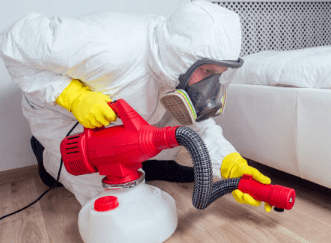 빈대 물린자국 빈대 퇴치법 퇴치제 살충제