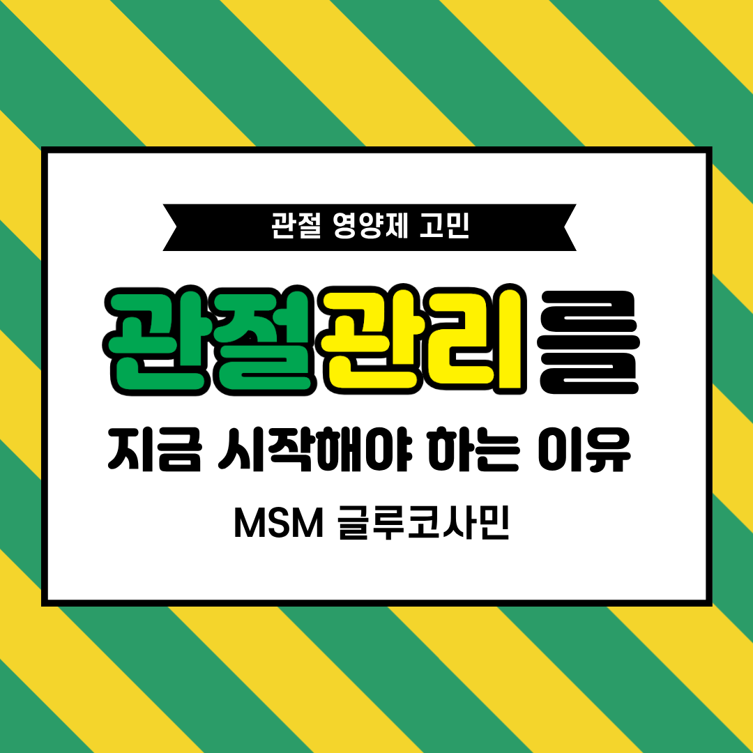 관절 관리가 중요한 이유!|MSM 글루코사민 선택 기준 정리