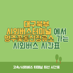 대구북부시외버스터미널에서 영주꽃동산정류소 가는 시외버스 시간표 최신정보