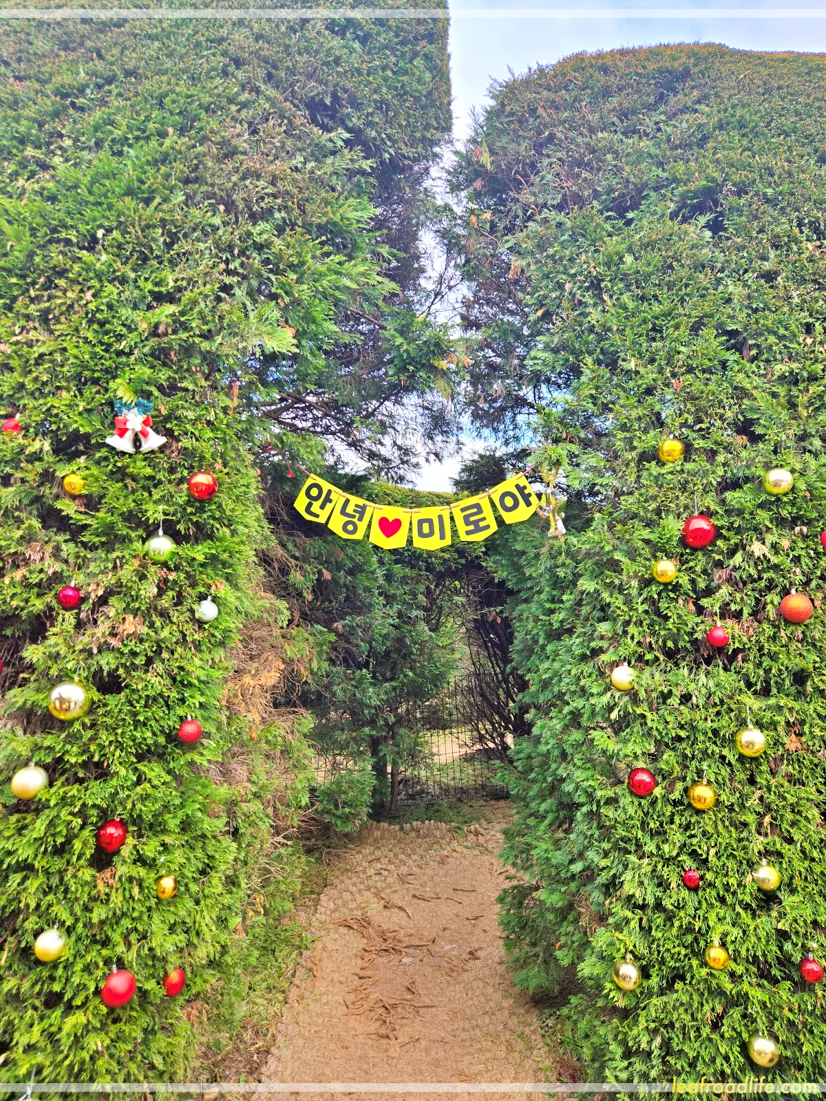 제주-김녕-미로-공원-미로입구