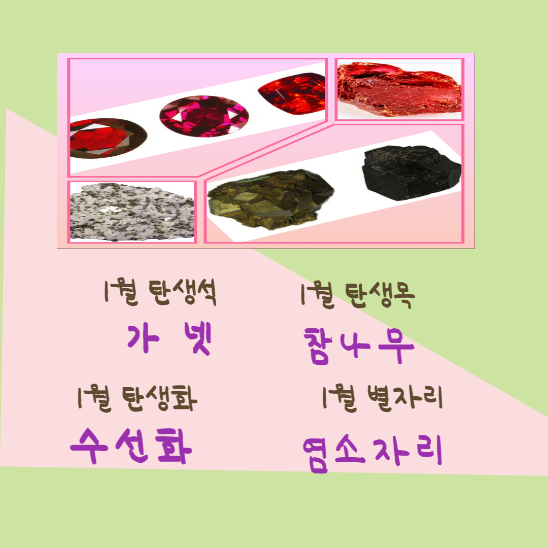 1월생들과 연관된 친구들