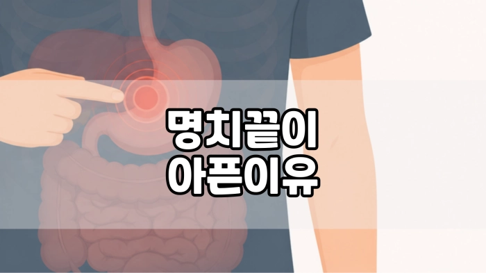 명치끝이 아픈이유