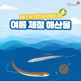 여름철 제철 해산물 추천 리스트 및 요리 활용법 안내_16