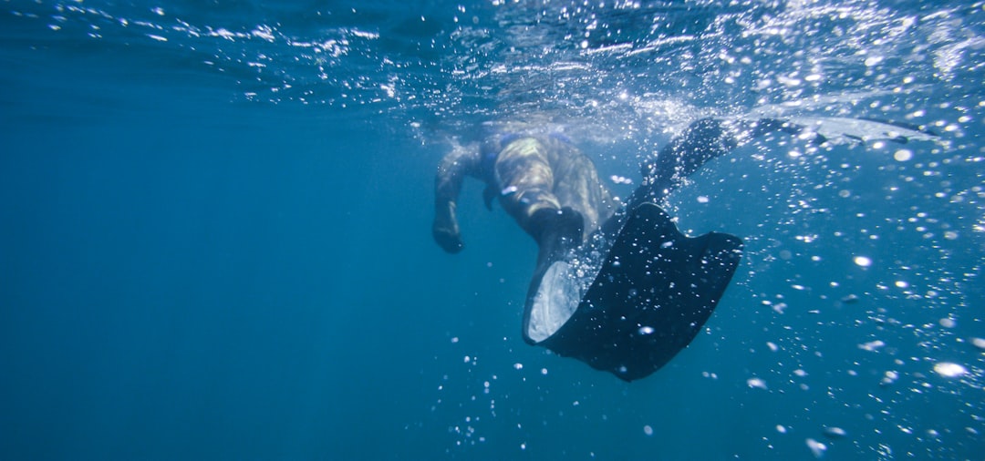 Freediving