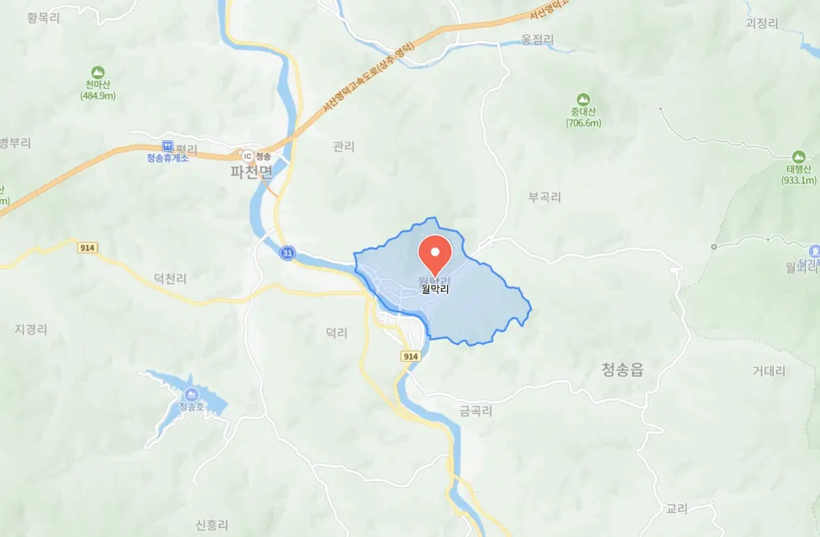 청송사과축제
