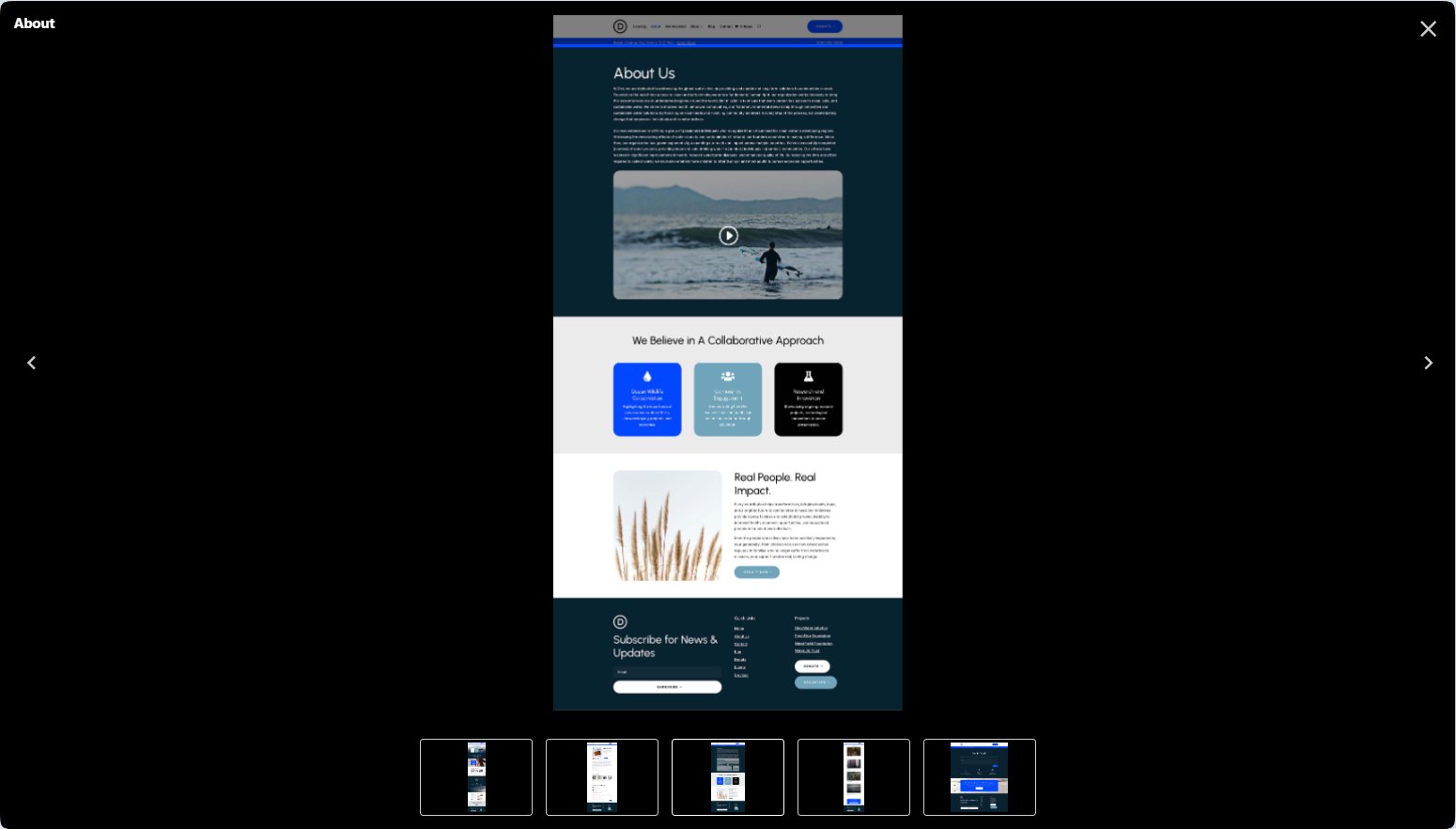 Divi 테마 스타터 사이트 비영리기관/스파용 템플릿 공개 - 데모 템플릿 로드하기