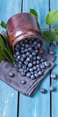 신장에 좋은 음식 만성 신장 통증 증상 질환 환자 좋은음식 나쁜 음식