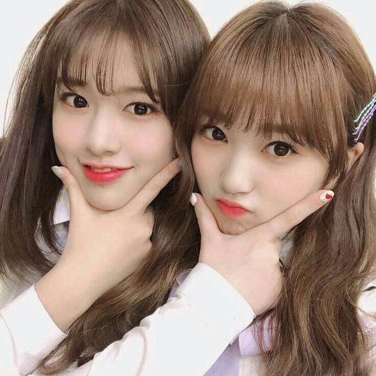 아이즈원 프로듀스48 사진 모음
