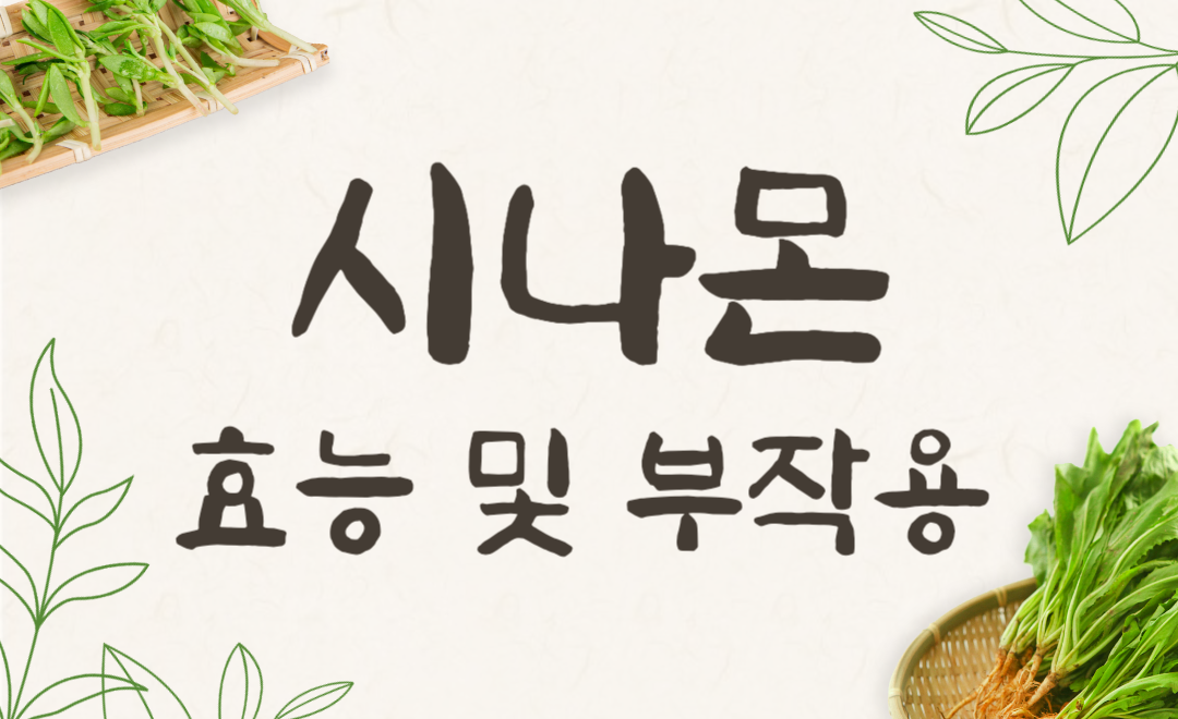 시나몬 효능 부작용 총정리 계피와의 차이점과 다이어트 효과까지