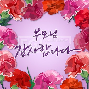 어버이날 카네이션