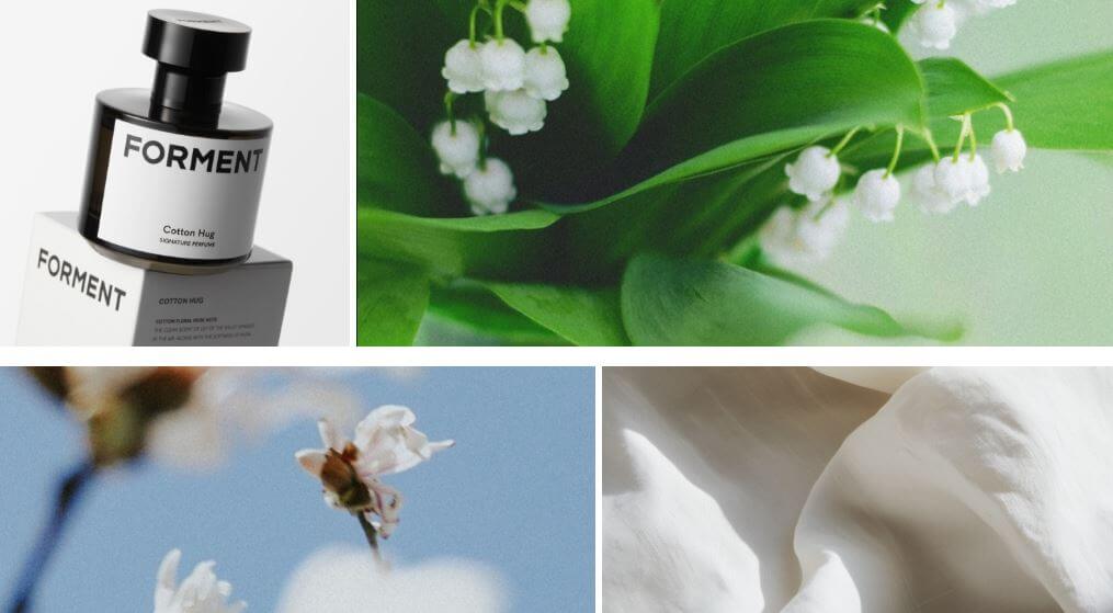 포맨트 시그니처 코튼허그