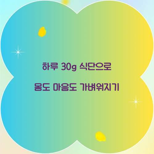 하루 30g 식단