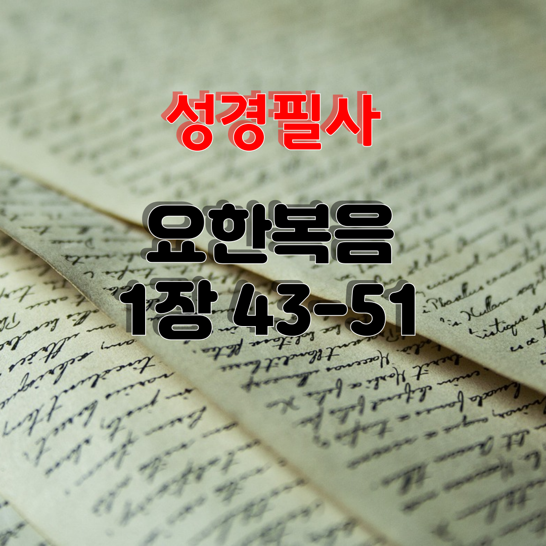 성경 필사_요한 복음 1장 43-51절