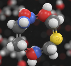 글루타치온과 비타민C의 시너지