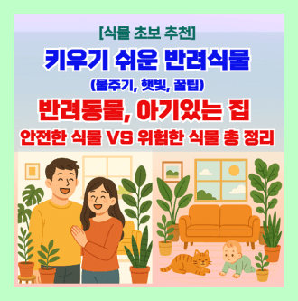 식물초보 반려식물 고양이아기 있는집 안전한 식물