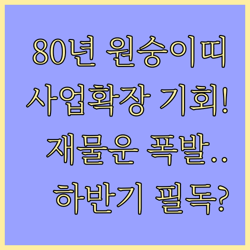 2026년 병오년 80년생 원숭이띠 ..