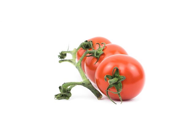 토마토 보관방법 꿀팁 17
