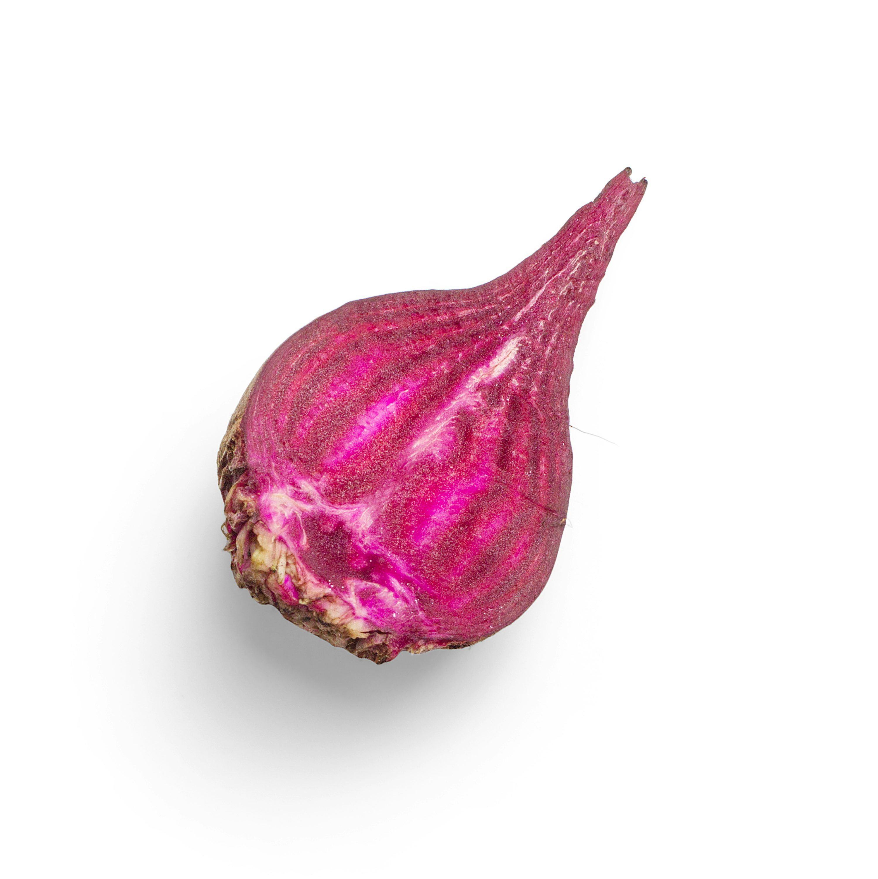 비트 효능
