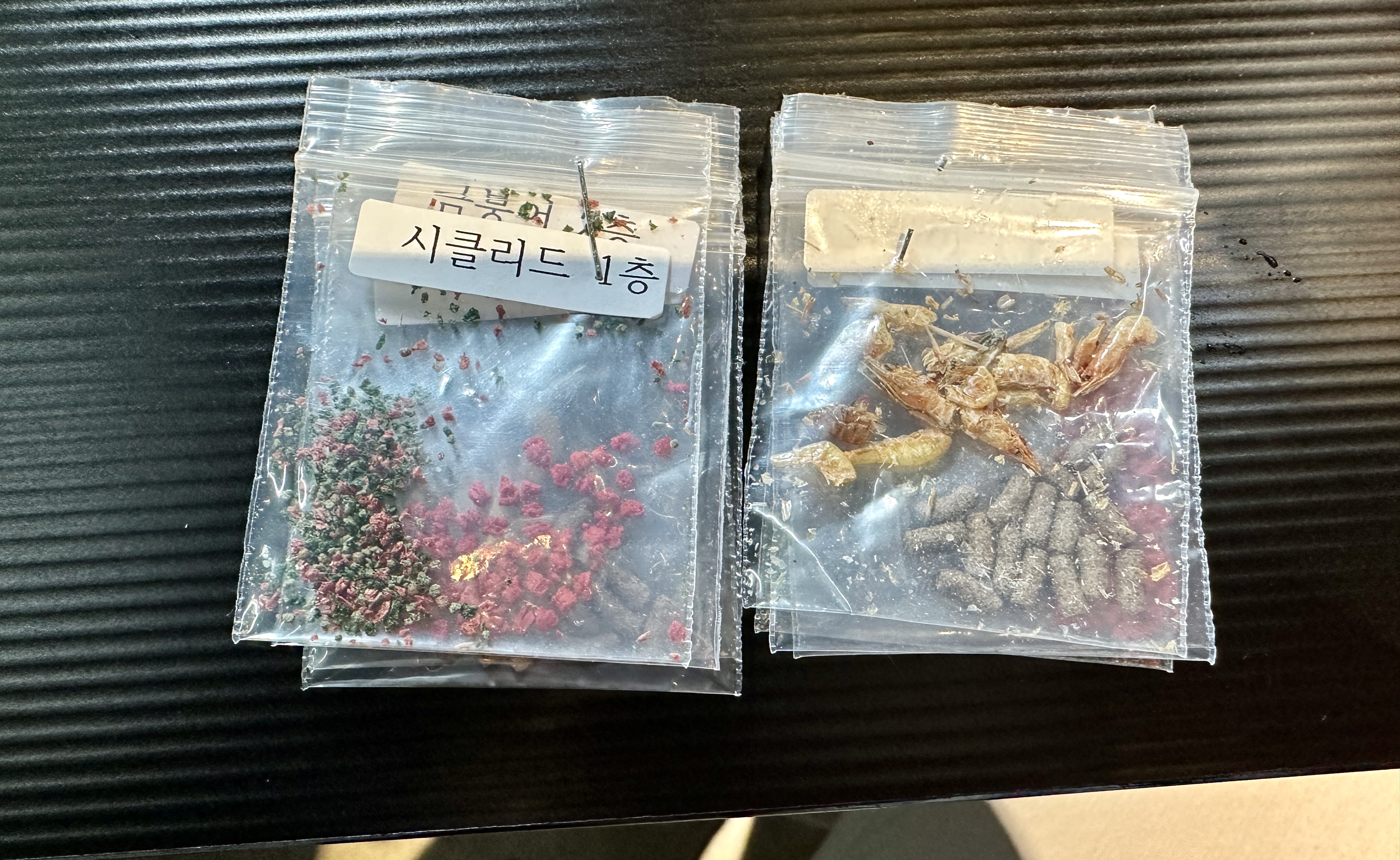 춘천 카페리움 물고기 먹이