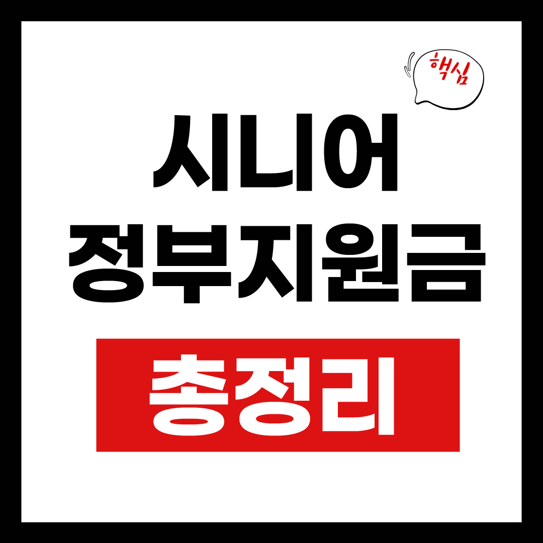 시니어 정부지원금 총정리 안내 표지