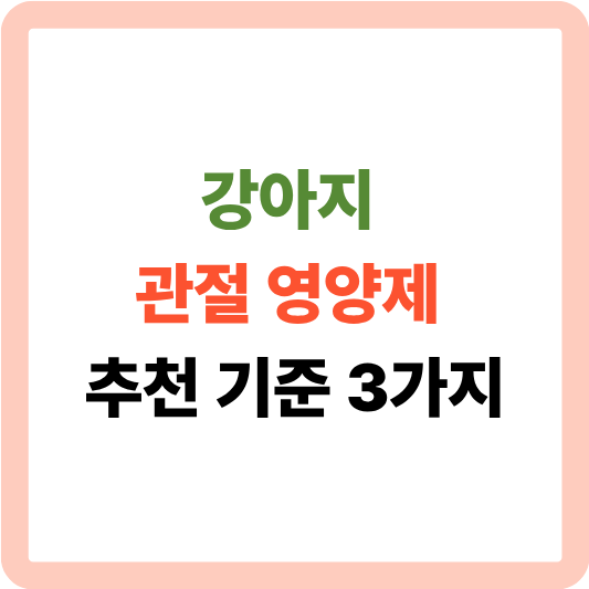 강아지 관절 영양제 추천 기준 3가지