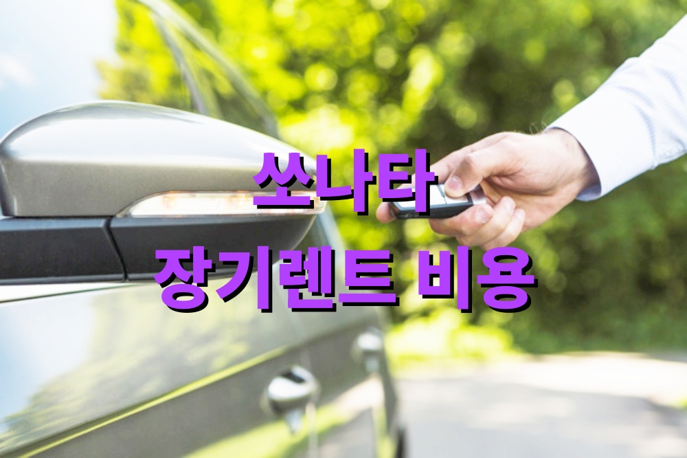 쏘나타 장기렌트 비용