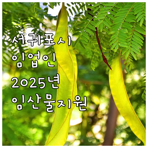 서귀포시 임업인을 위한 2025 임산..