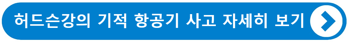 버드스트라이크 - 항공기 사고의 원인