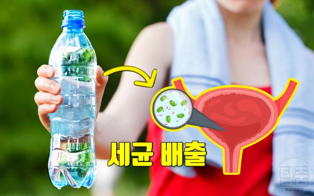 요로감염 증상 자연치유