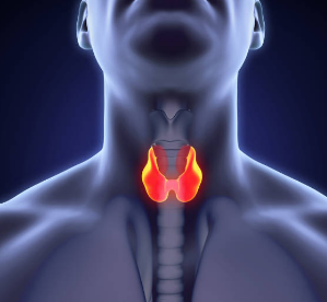 갑상선암 증상, 수술후 회복기간, 수술후 좋은음식 총정리 (2024ver)