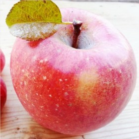 문경 사과 축제