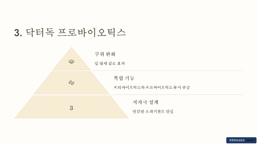 강아지 장 건강 영양제 추천 TOP5