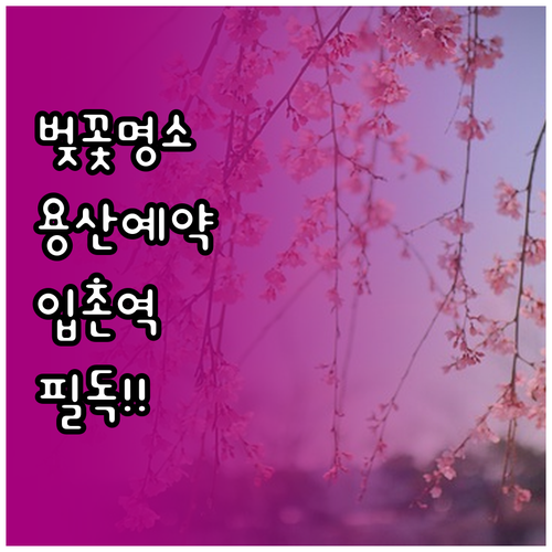 용산어린이정원 벚꽃 관람 예약 및 입..