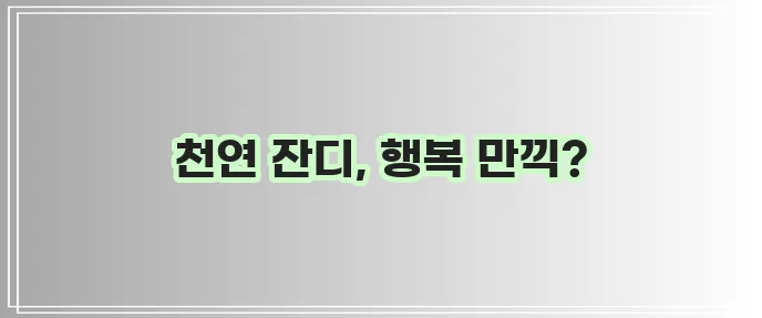 파주 글램독 그라운드 애견카페 넓은 천연 잔디장에서 행복한 시간, 정말 최고겠죠?