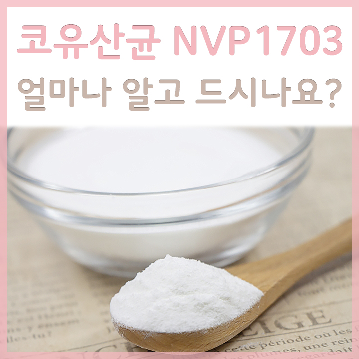 그릇에-딤긴-코유산균-NVP-1703