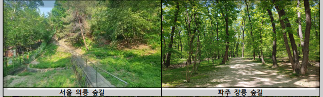 조선왕릉 숲길 8곳 개방, 숲길 상세 위치 총정리