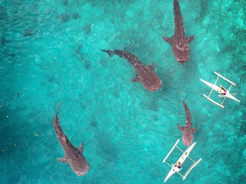 출처:하나투어&amp;#44; 세부