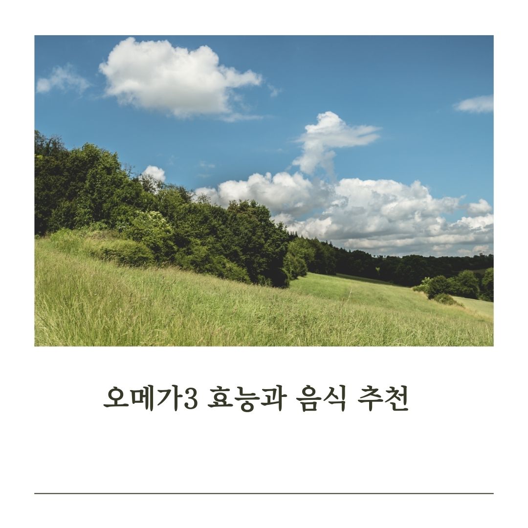 오메가3